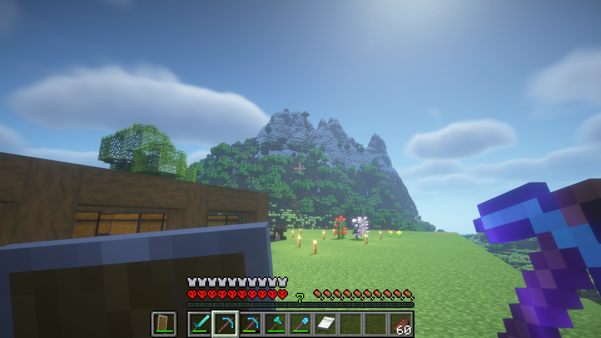 Minecraft hardcore - shader view 1