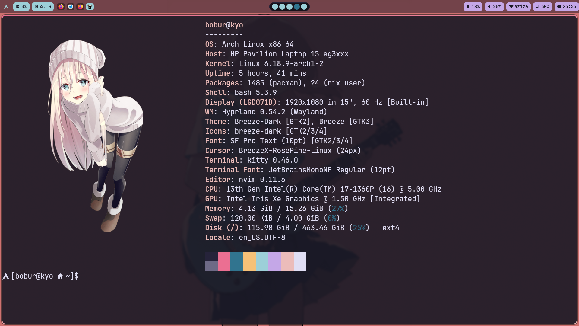 My laptop characteristics